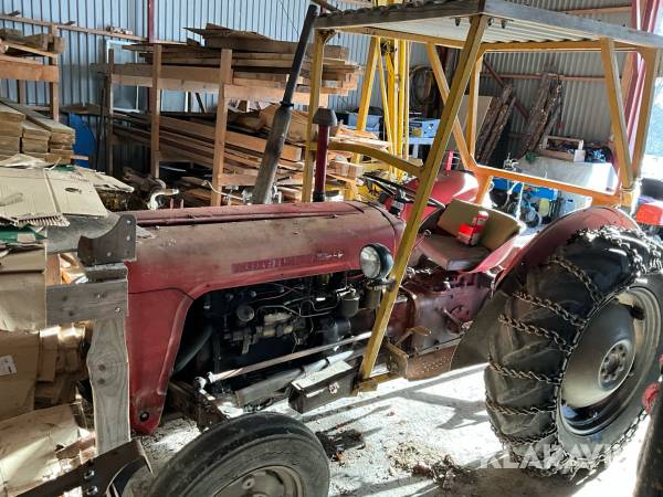 Veterantraktor Massey Ferguson 35