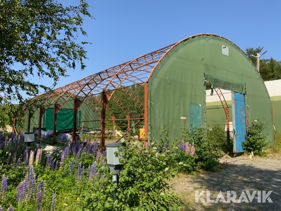 Stomme till tälthall Jonseredshallen