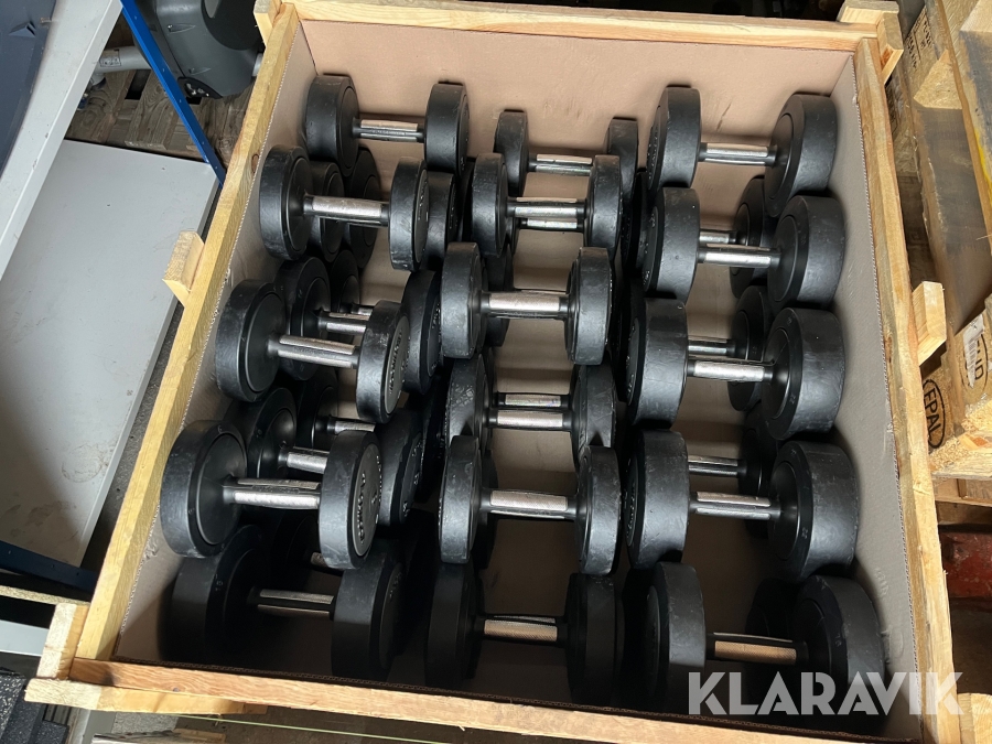 Gymutrustning hantlar Technogym 4-30 kg