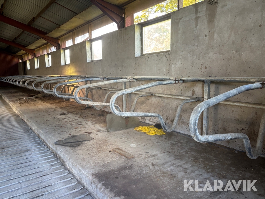 Inredning till mjölkkor, 38 byglar