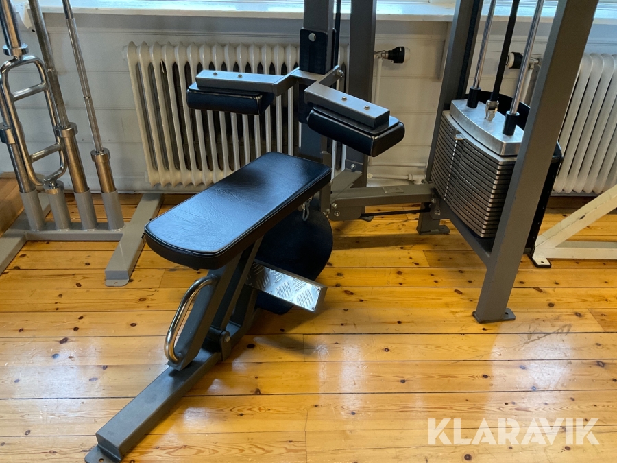 Lats-/roddmaskin Gymleco Active Line 214