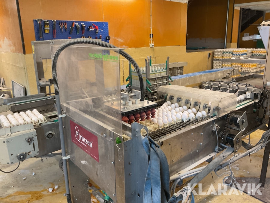 Äggpackningsmaskin Prinzen med staplare 20 000 ägg/timme