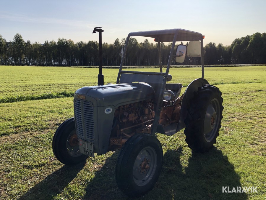 Veterantraktor Ferguson FE35 Guldkalv