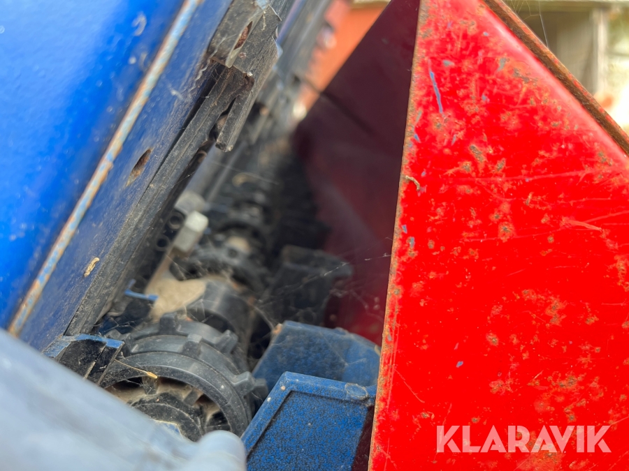 Joja favvoraga oxshaydi