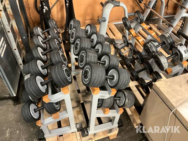 Hantlar TechnoGym 28 st med ställning