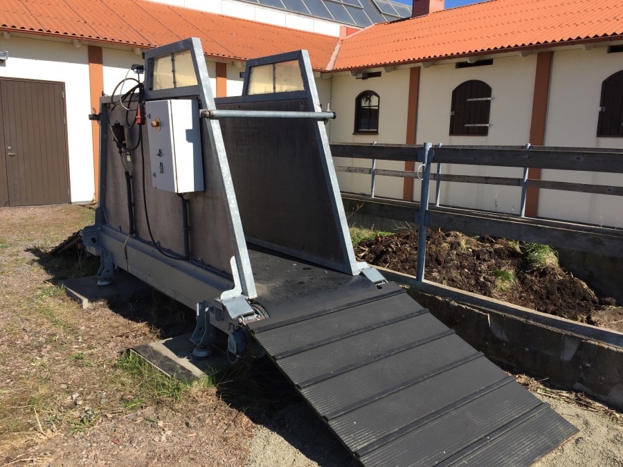 Skrittband / Löpband för häst