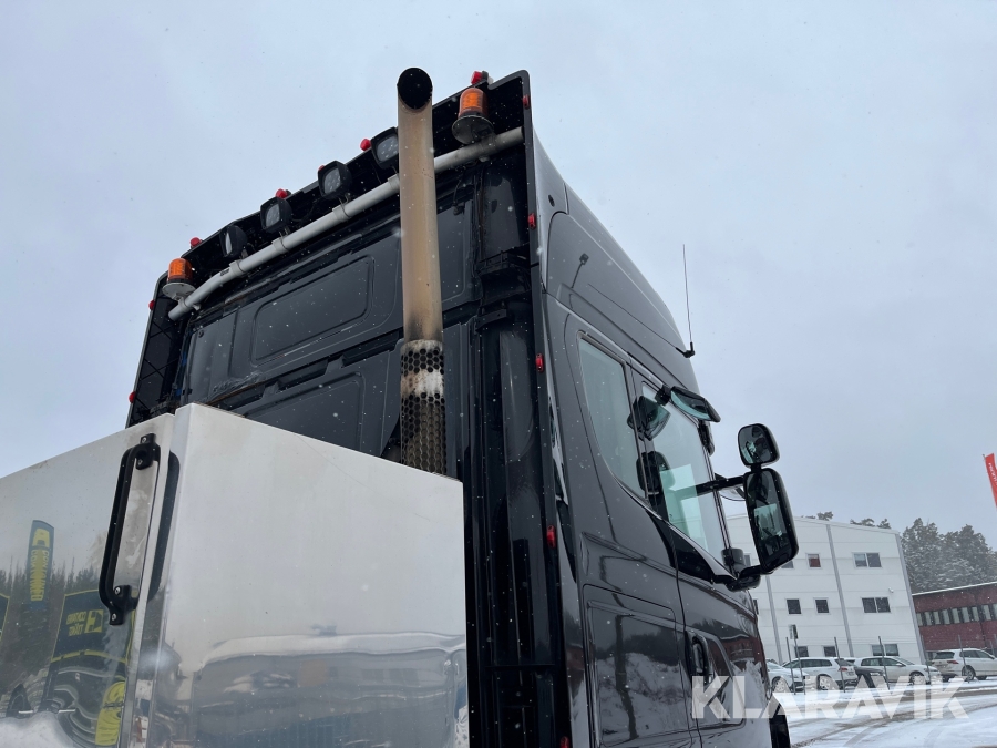 Keksa ayolning mushukining yaqindan surati Ayollarning seksi platformadagi poshnali poyabzali