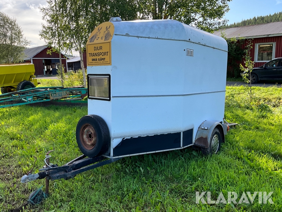 Hästtransport Umeå släpet 