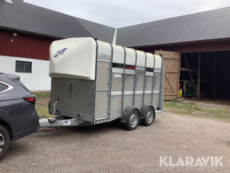 Boskapssläp med hästinredning Ifor Williams trailers ltd
