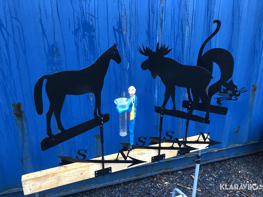  Vindflöjel 3 st och Kronblom regnmätare 1 st 