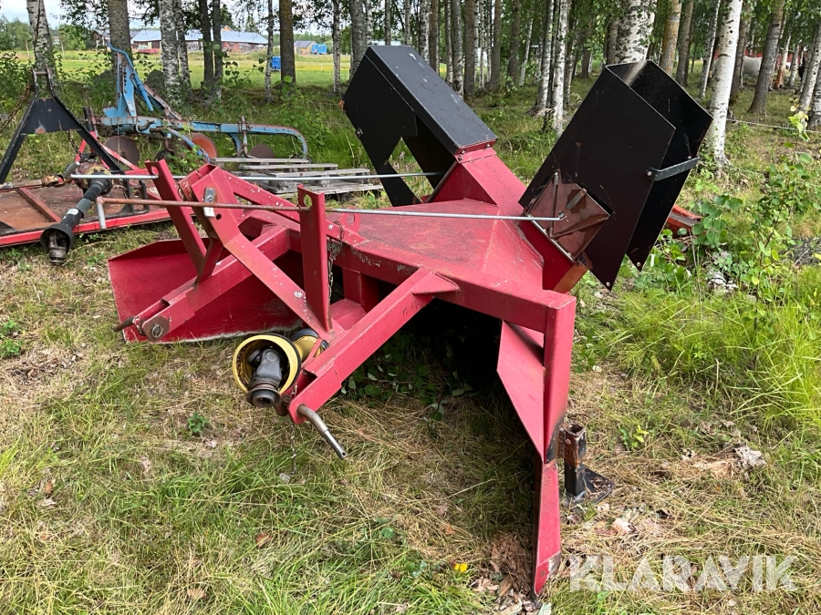 Snöslunga Vestbjörn