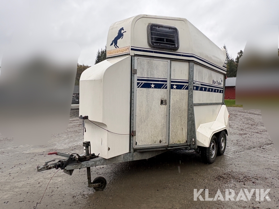 Hästsläp Star trailer Diamant