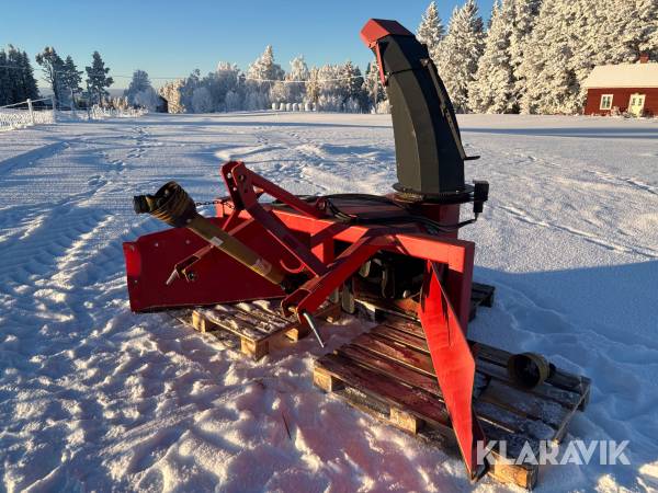 Snöslunga Westbjørn V-2350