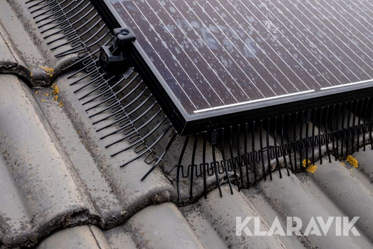 Fågelskydd för solpaneler Feather fence GM-FF1 30m