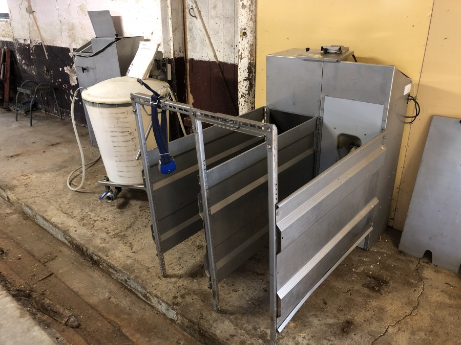 Kalvamma för mjölk och pellets