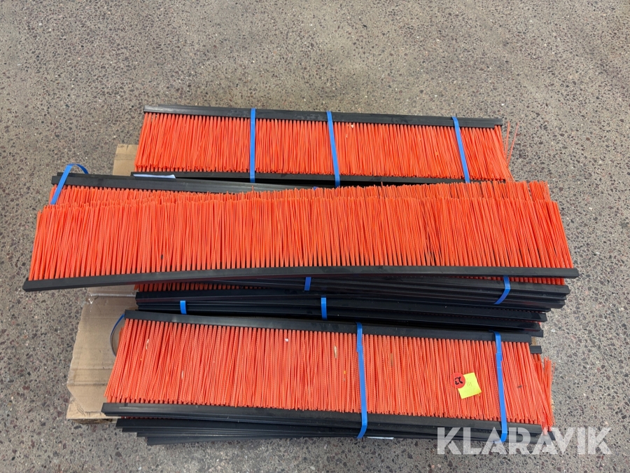 Parti med borstkammar