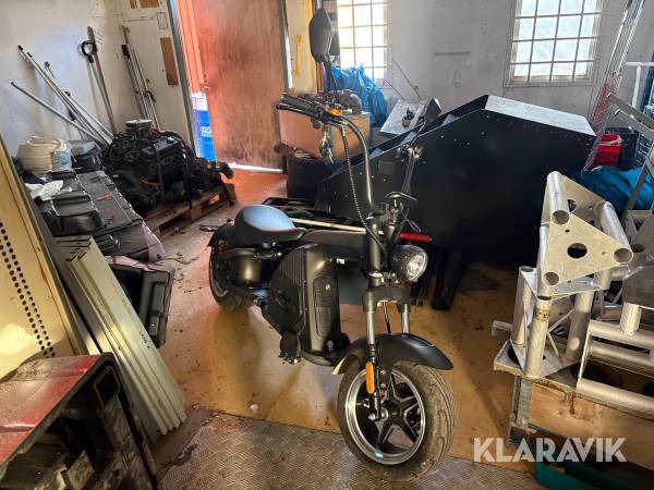 Elscooter/Fatbike Mangosteen