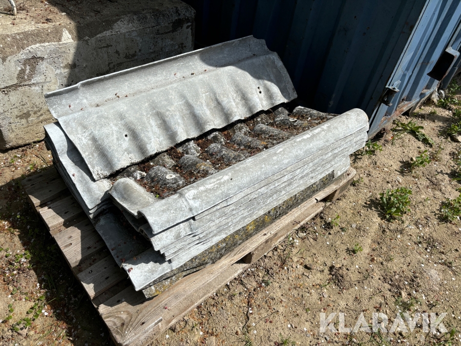 Eternitnock ställbar - 20 st