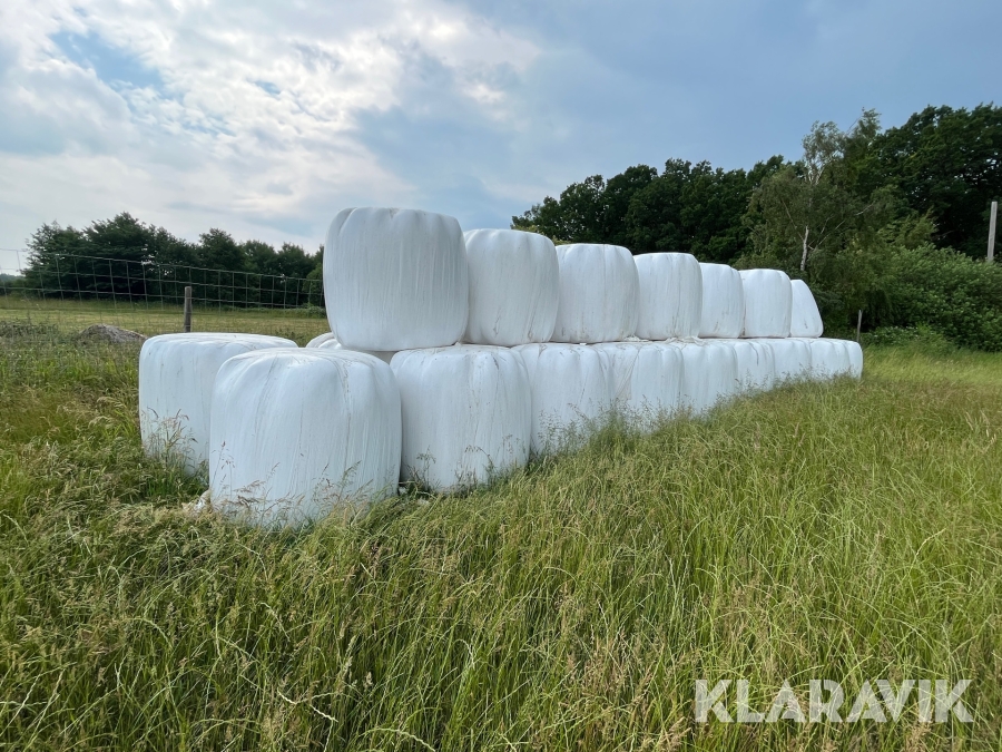 Ensilage 25 st balar Gräsvall säljes som grovfoder till nötkreatur
