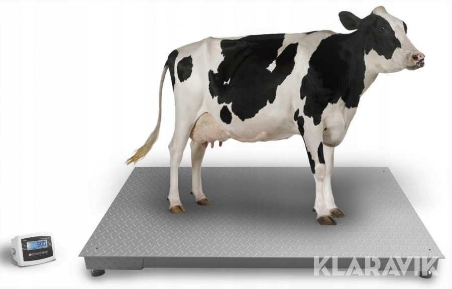 Djurvåg 1,2 x 2m  upp till 5000 kg (Ny)