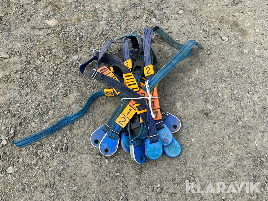 Transpondrar Delaval 10 st