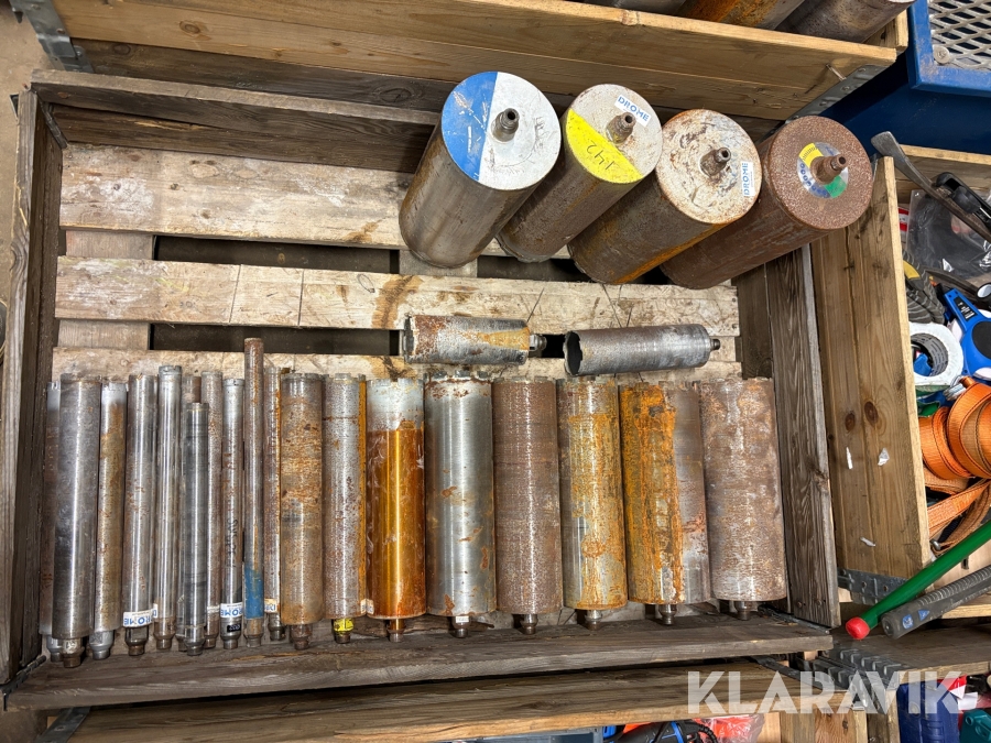 Kärnborr Drome frökengänga