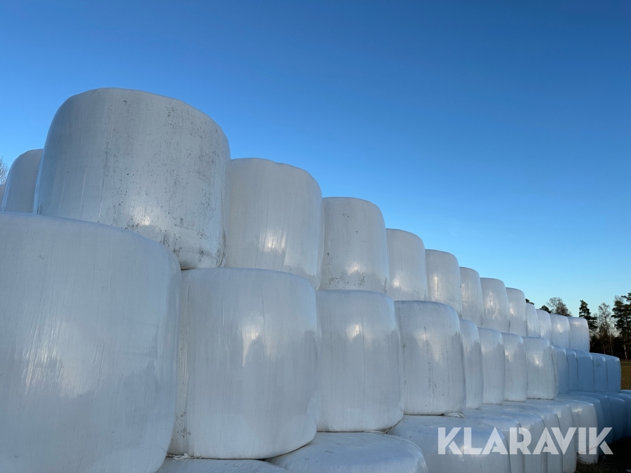 Helsädesensilage i rundbal EKO 100 st 2024