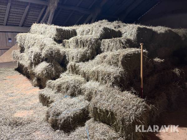 Torrhö 10 kg st 200 bal