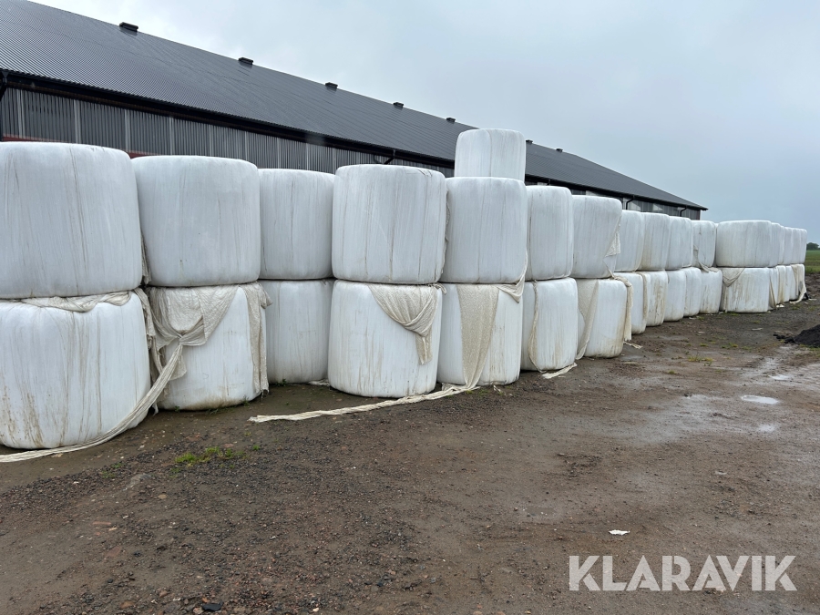 Ensilagebalar till hästar 100 st