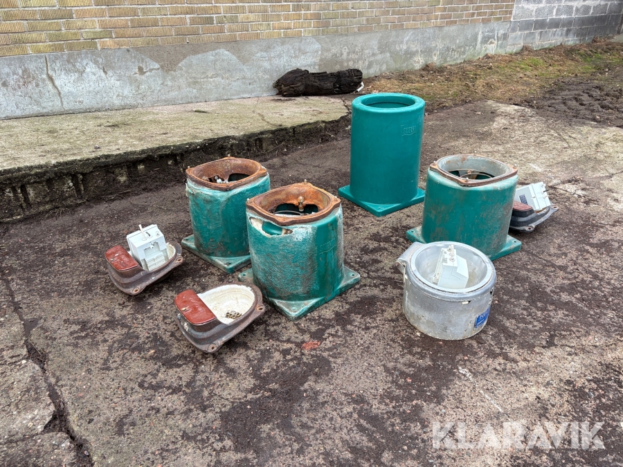 Vattenhoar 4 st Suevia 43A