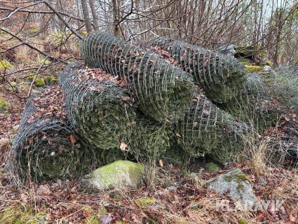 Rävnät galvat