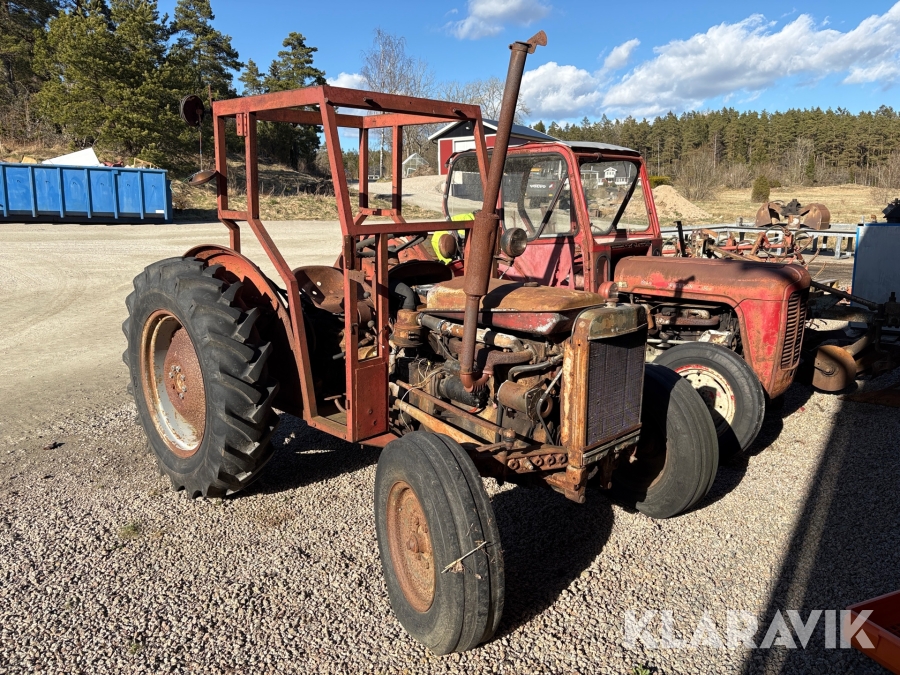 Traktorer Ferguson / Massey Ferguson Guldkalv
