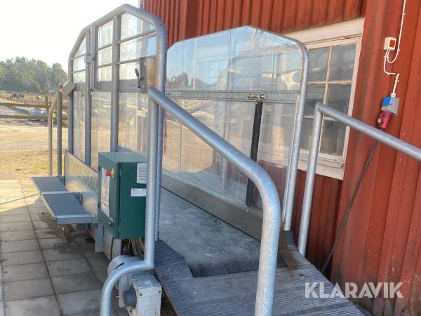 Skrittband Horsetrainer