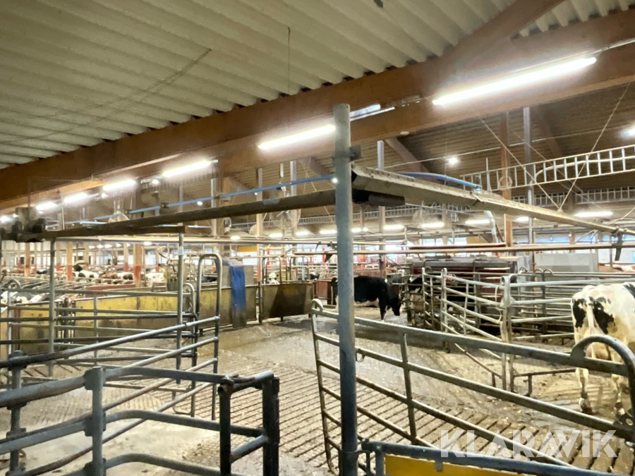 Påfösare grind DeLaval för samlingsfålla 10x12meter nedmonterad