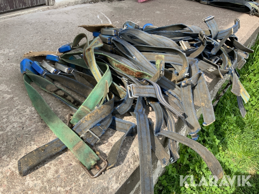 Transpondrar med halsband DeLaval 30st