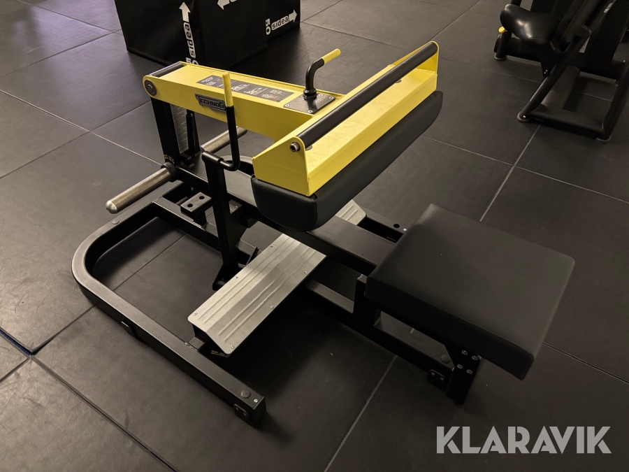 Gymmaskin TechnoGym Seated Calf