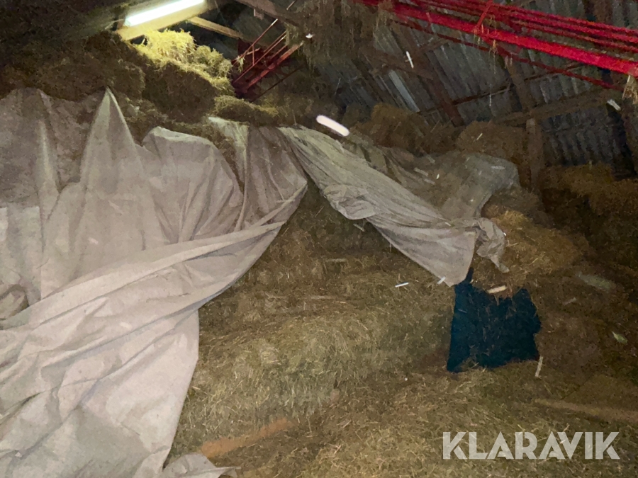 Skulltorkat hö i småbal 100st