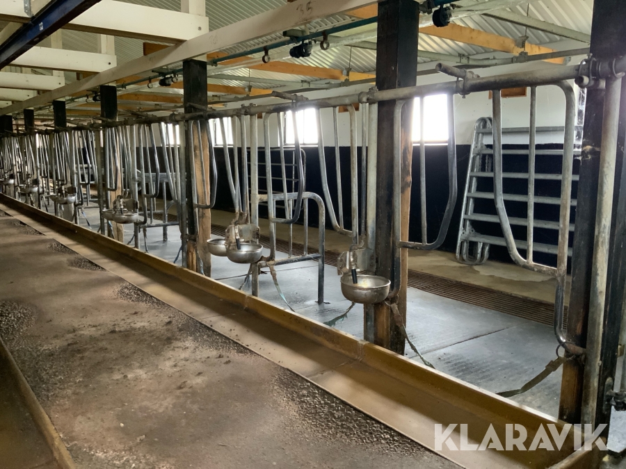 Foderfronter för nöt 20st platser