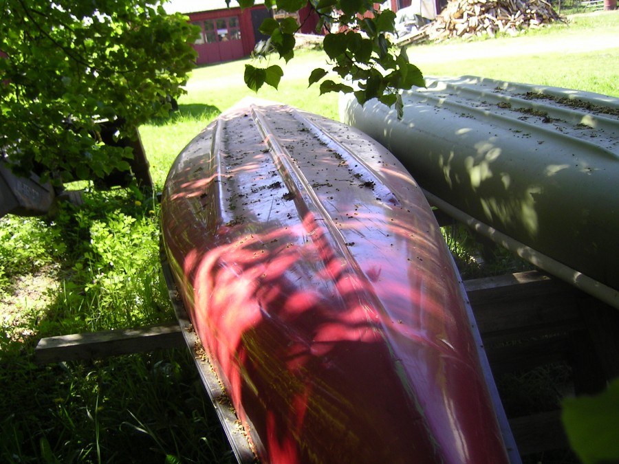 1st Kanot / Kanadensare